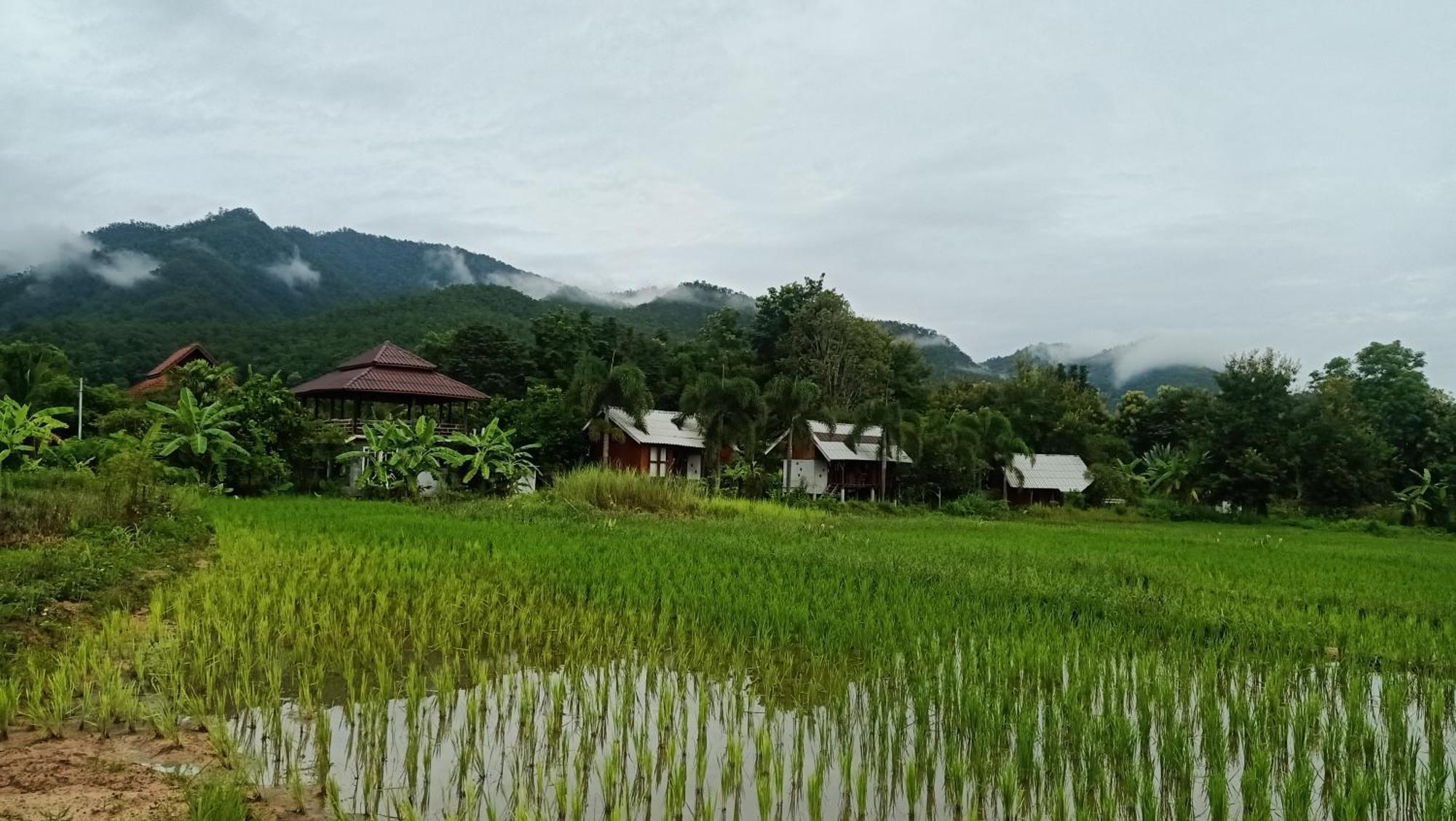 Ing Doi Guest House 빠이 외부 사진