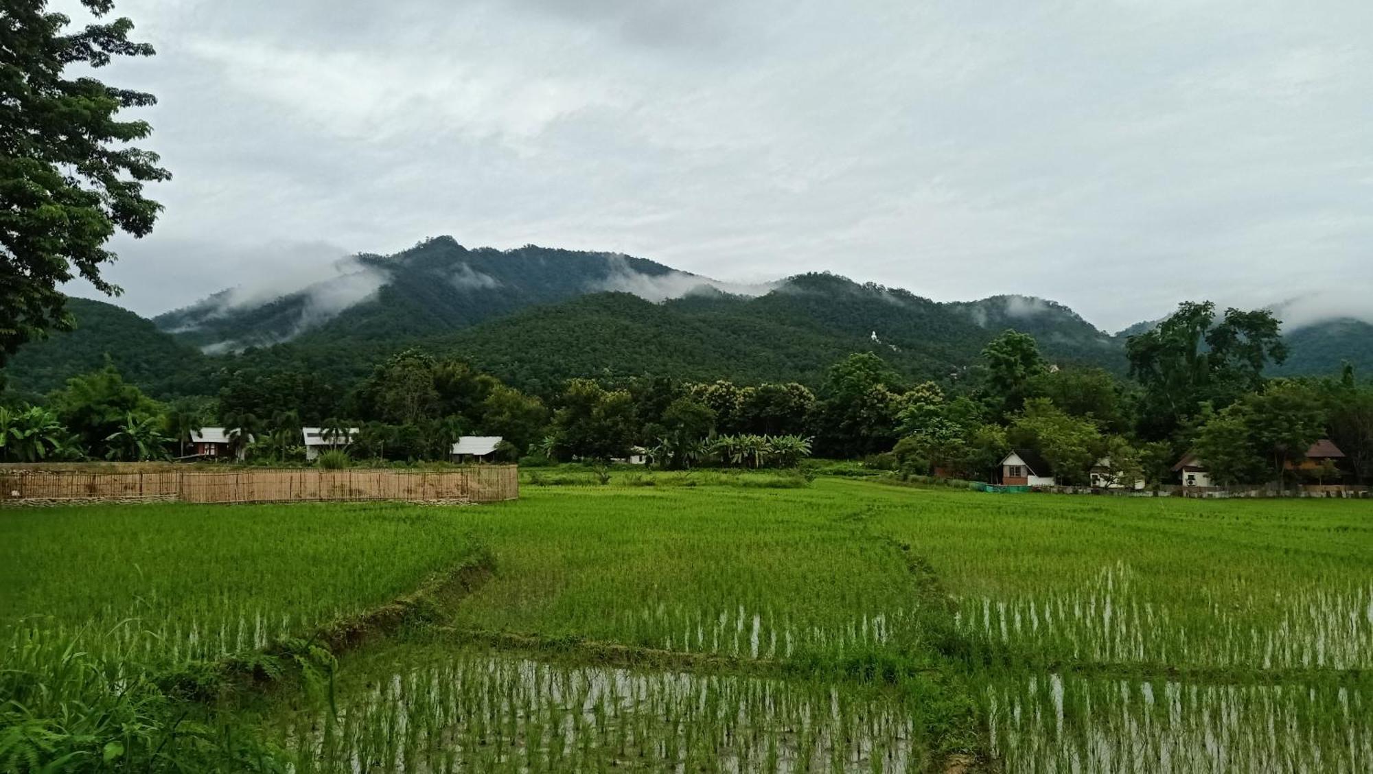 Ing Doi Guest House 빠이 외부 사진